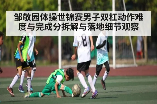 邹敬园体操世锦赛男子双杠动作难度与完成分拆解与落地细节观察